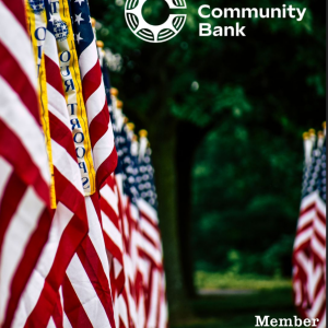 Veterans Day graphic